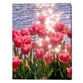 18 윤슬 속 튤립 × 1세트