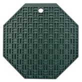 에버그린 × 1개