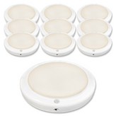 화이트 + 주백색