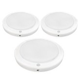 화이트 + 주광색