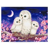 BL3040-001 달빛부엉이 × 1세트