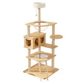 豪華星空 × 1組