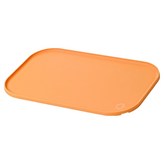 딜리아 오렌지 × 1개