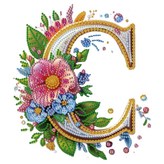 字母 C × 1個