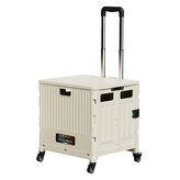 아이보리 × 1개