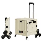 아이보리 × 1개