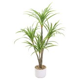 화이트그린 × 1개