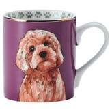 紅貴賓 紫色 × 1個