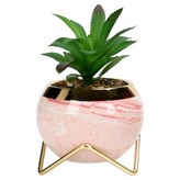粉紅色(花盆) × 1個