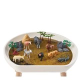 野生動物園 × 1個