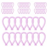 스탠다드 라벤다