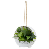 5화이트플라워바구니 + 그린라임 × 1개