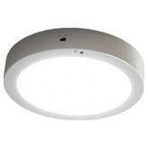 화이트 + 주광색