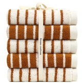 선염 브라운 × 5개