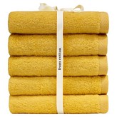 솔리드 머스타드 × 5개