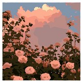 핑크빛 장미 × 1개