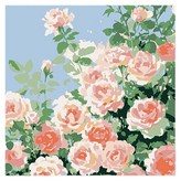 여름날 장미 × 1개