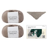 504 에쉬그레이 × 1개