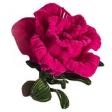 핫핑크 × 1세트