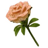 선셋골든 × 1세트