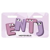 ENTJ × 1個