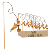 南瓜 × 10個