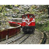 阿里山小火車 × 1組