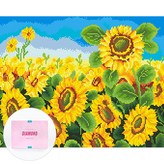 활짝핀 해바라기