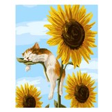 貓咪向日葵 × 1組