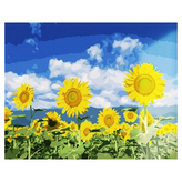 藍色的向日葵田