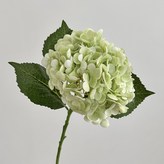 05 蘋果綠 × 1個