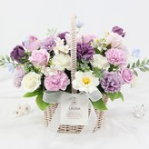 바이올렛 × 1개