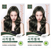 애쉬빈티지카키6AK