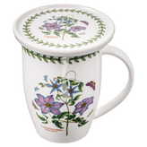 클래마티스 × 1세트