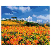 台灣風情誌 花蓮六十石山金針花海 × 1個