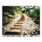 五月雪油桐花 × 1組