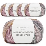 301 棒棒糖 × 5捲