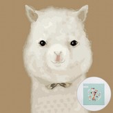 개구쟁이알파카