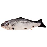鮭魚 × 1個