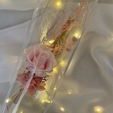 러블리핑크 (블루밍) × 1세트