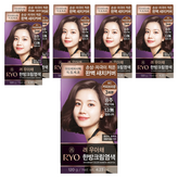 6C  (커피브라운)