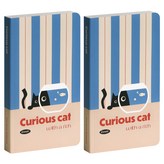 06CURIOUSCAT
