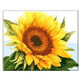 一朵向日葵 × 1組