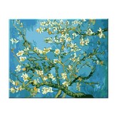 梵谷杏樹 × 1組