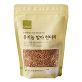 500g × 1개