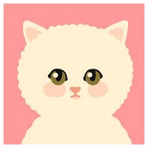 귀여운아기고양이하양이