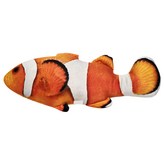 日本正宗小丑魚 × 1個