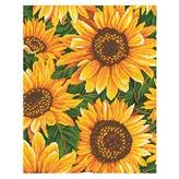 풍성한 해바라기