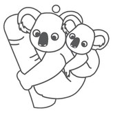 無尾熊