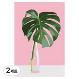 綠色龜背芋